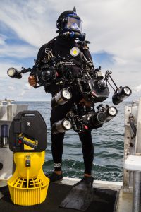Have You Ever Thought About Diving With Sharks? Jim Abernethy