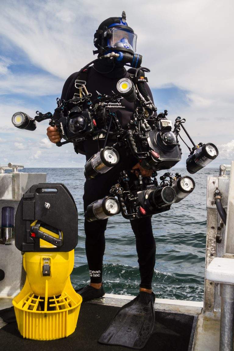 Have You Ever Thought About Diving With Sharks? Jim Abernethy